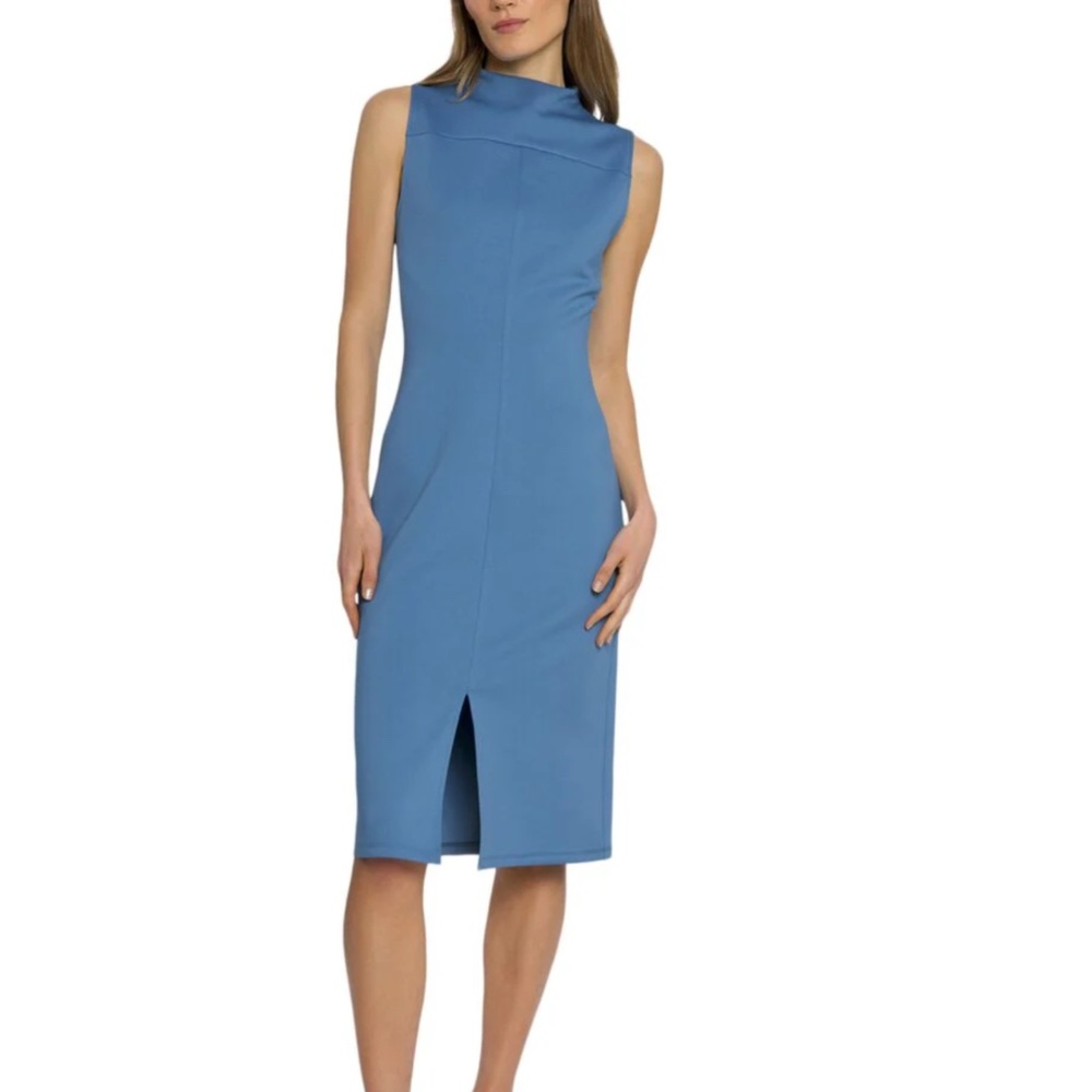 Luxely Dawn Mock Neck Sleeveless Dress, size 6